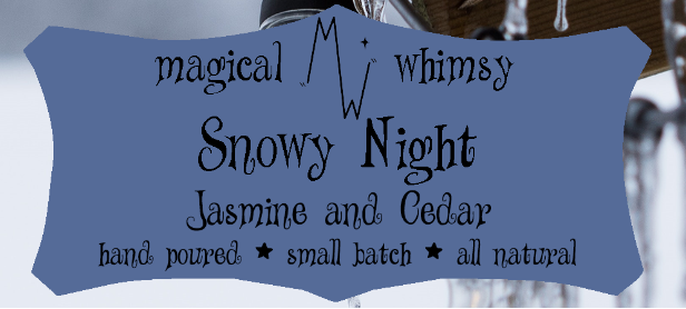 Snowy Night